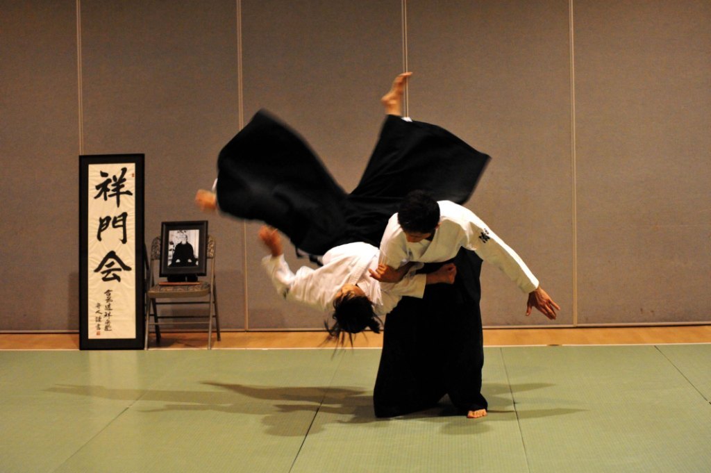 One aikido practitioner throwing another on the ground.