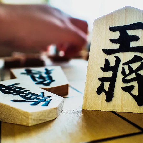 Shogi piece in focus on board