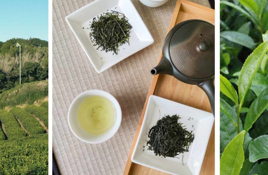 Japanese Tea Workshops