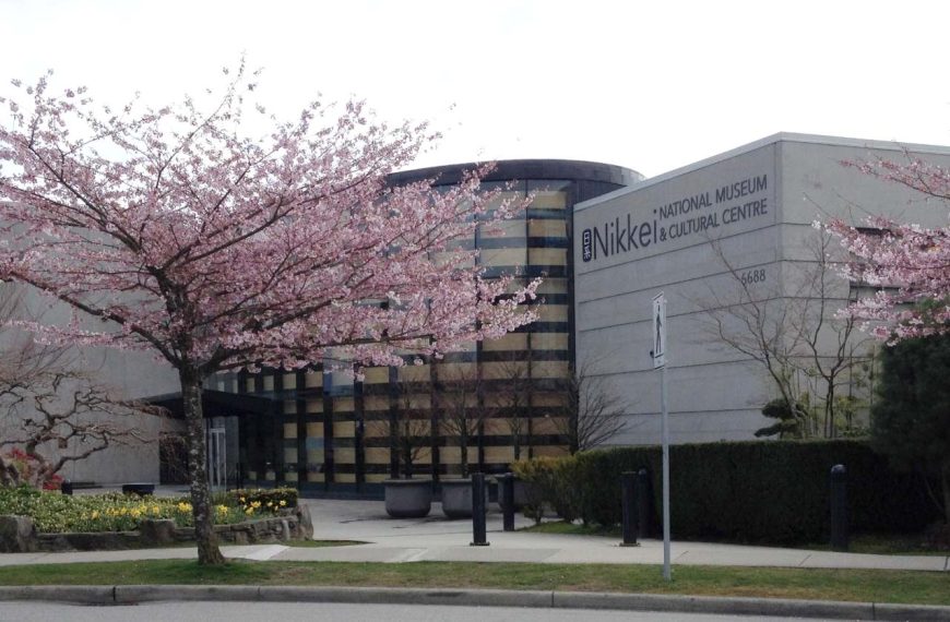 Cherry blossom tree in bloom in front of the Nikkei National Museum & Cultural Centre building.