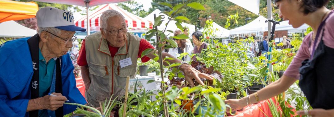 Two senior men inspect potted plants for sale at an outdoor community garden market booth under a white canopy tent.