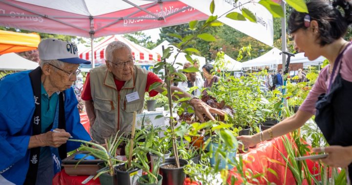 Two senior men inspect potted plants for sale at an outdoor community garden market booth under a white canopy tent.
